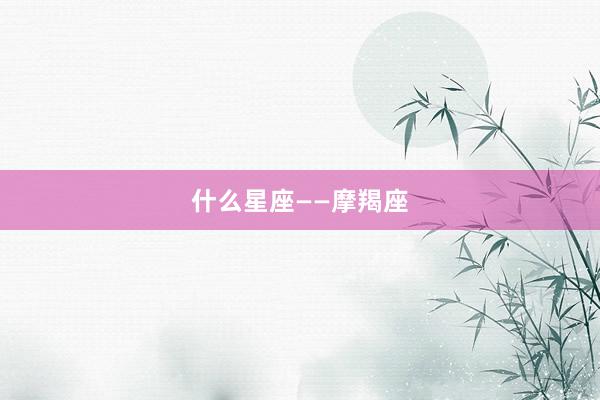 什么星座——摩羯座