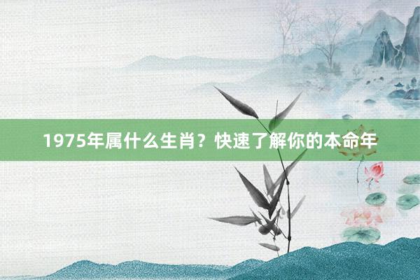 1975年属什么生肖？快速了解你的本命年